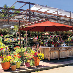 2019 Best of the East Bay: Shops and Services